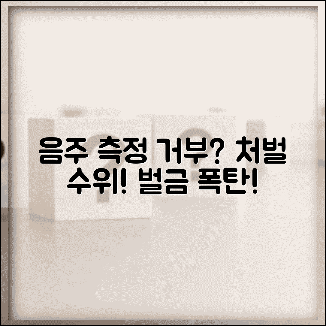 음주측정 거부 처벌 | 음주 측정 불응 처벌 수위 벌금