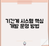 기간계 시스템 구축 | 기간계 시스템 개발과 운영방법