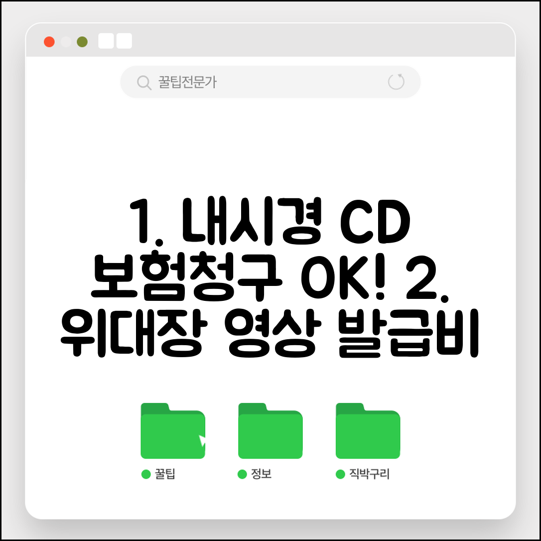 내시경 사진 CD 발급 보험 청구 가능 | 위내시경 대장내시경 영상 발급비