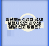 횡단보도 주정차위반 가중 처벌 | 보행자 안전 위협하는 횡단보도 주정차 엄벌, 처벌 기준 및 신고 방법은?