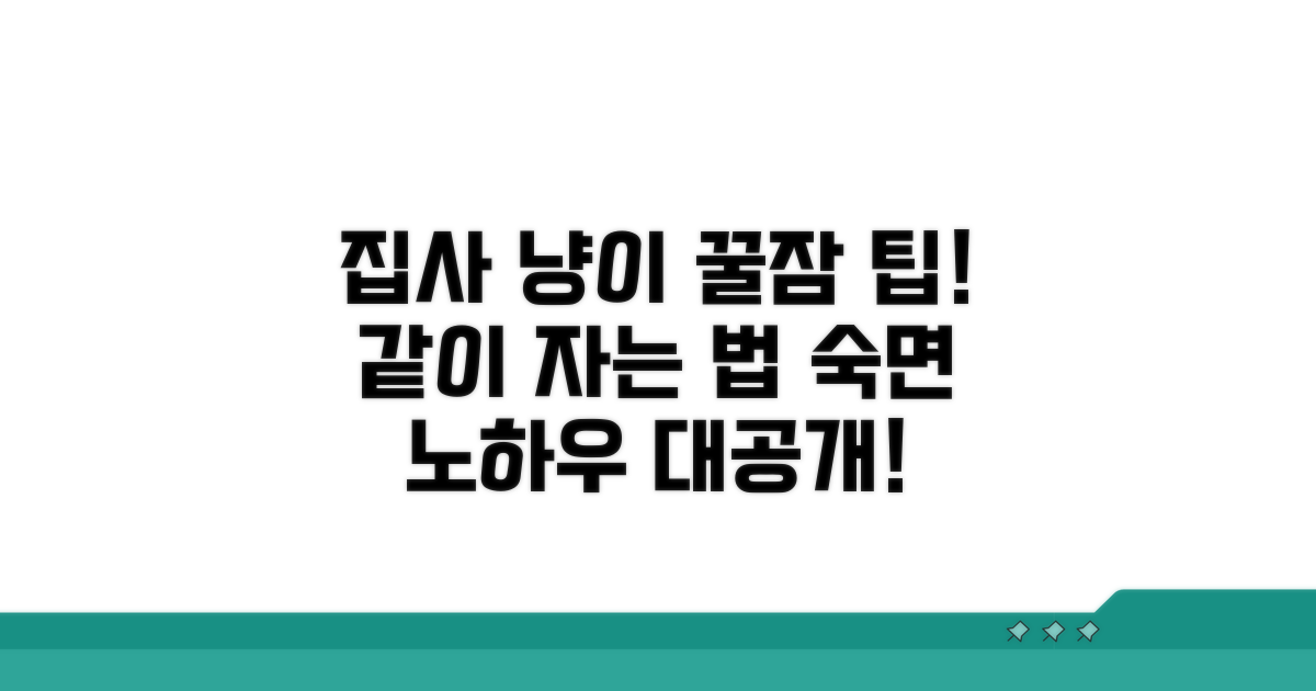 집사와 고양이 함께 자는 법